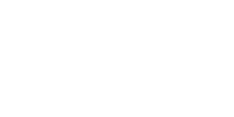 Logo instinct web marketing transparent